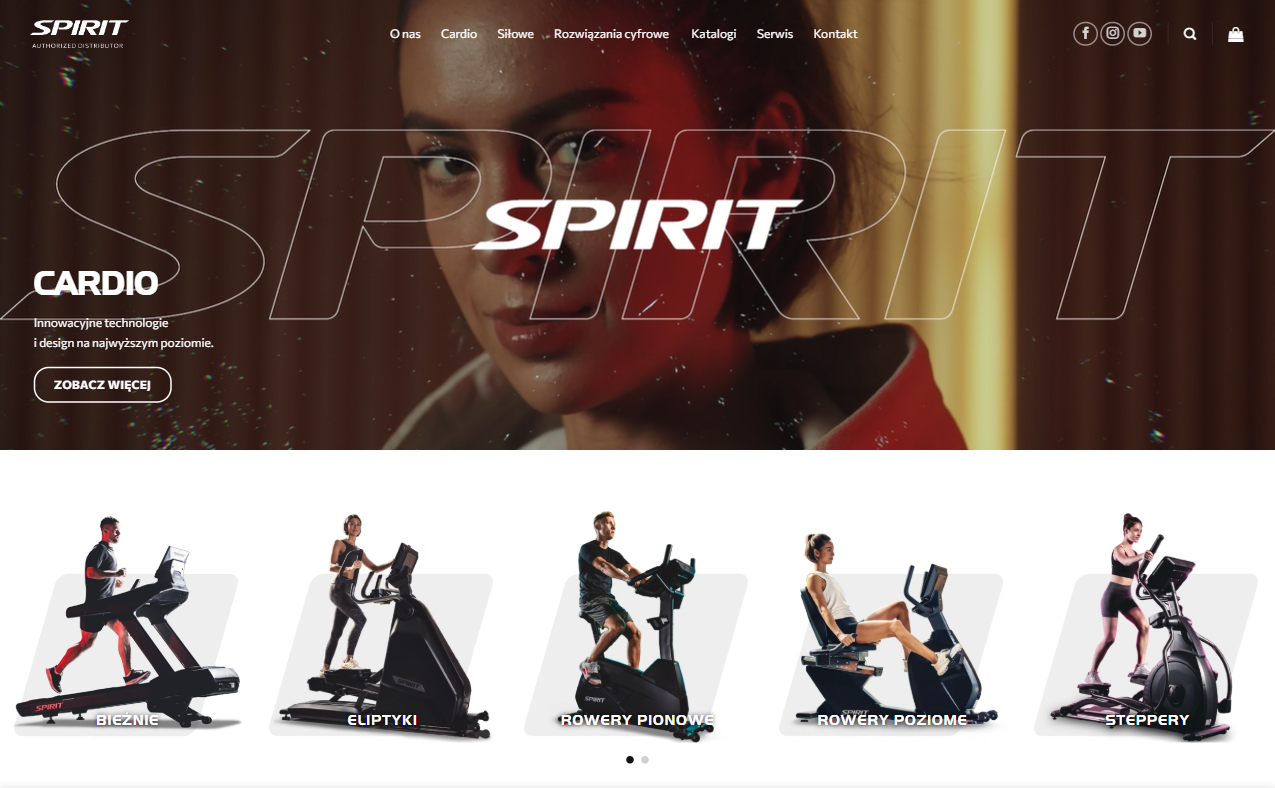Spirit Airlines project